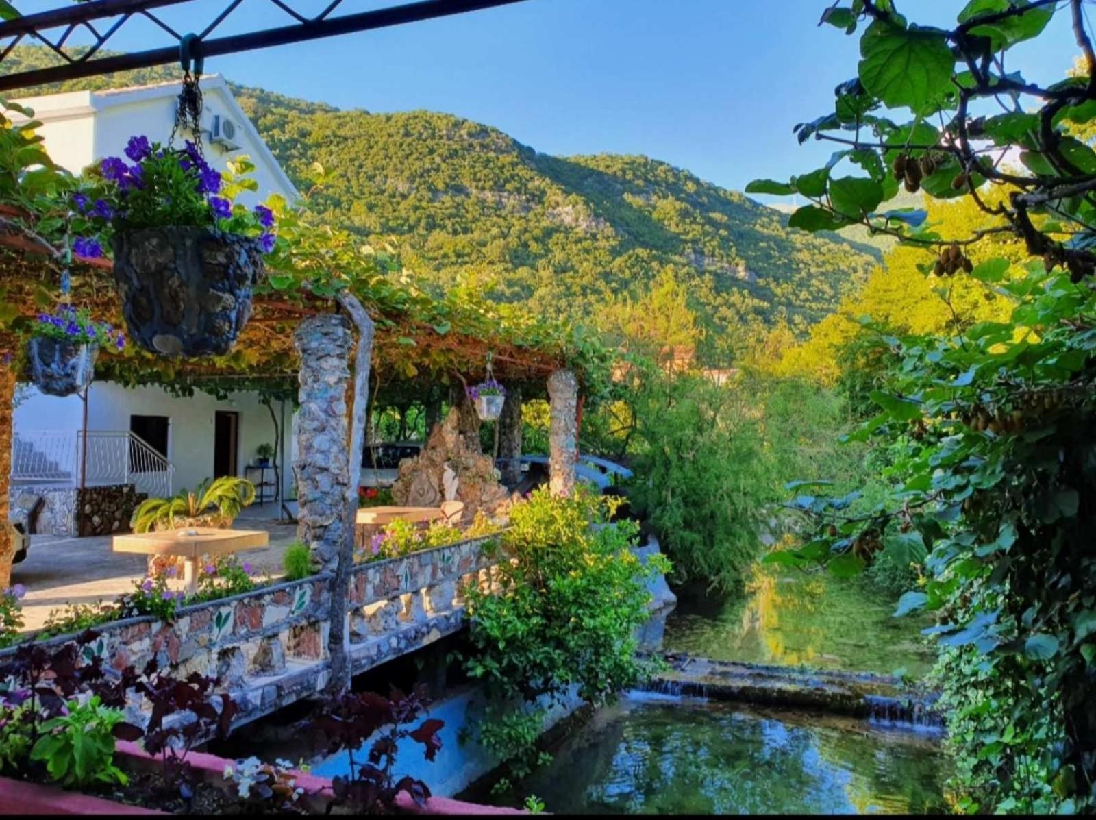 Apartments Radonjic Budva Exteriör bild