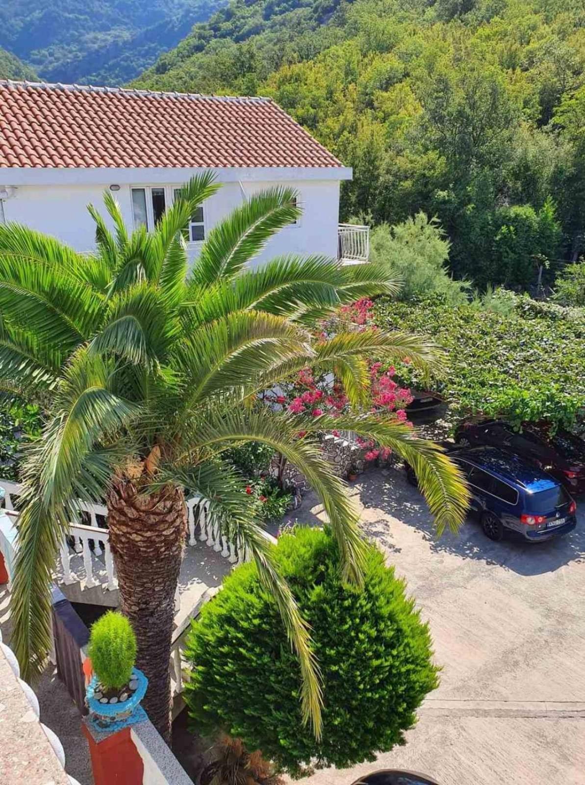 Apartments Radonjic Budva Exteriör bild