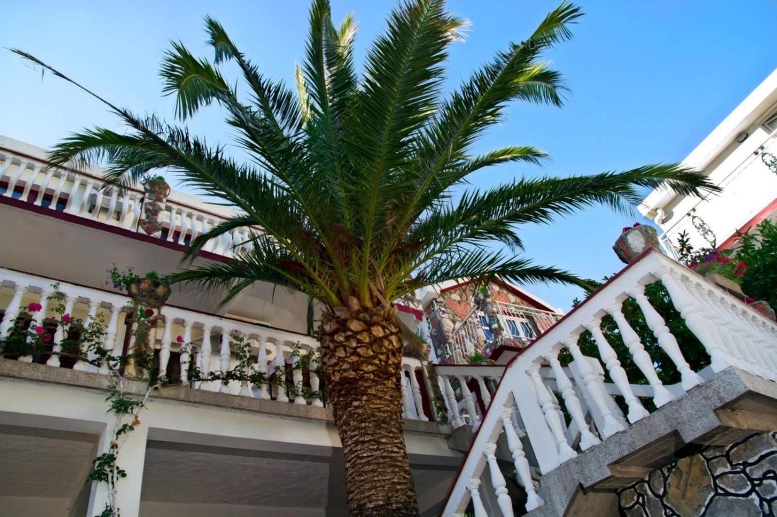 Apartments Radonjic Budva Exteriör bild