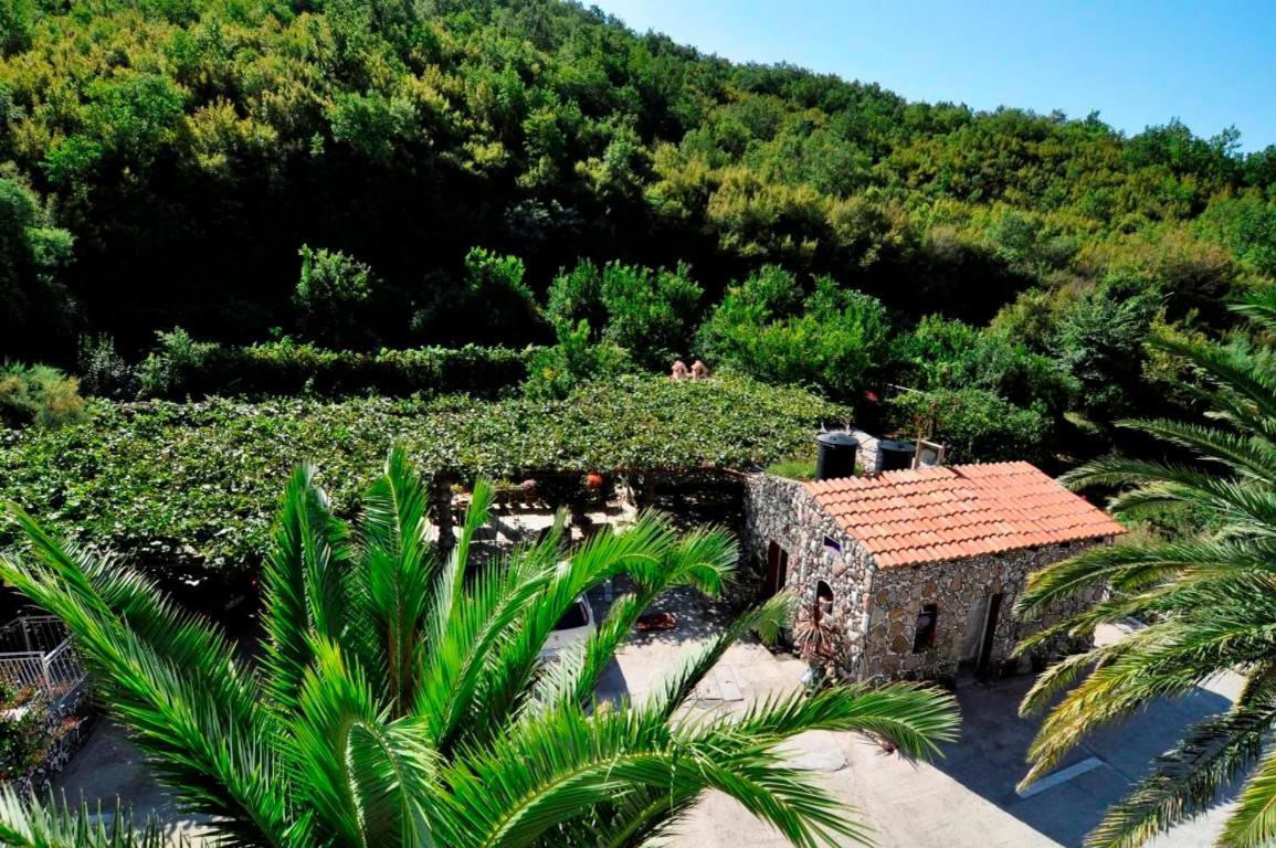 Apartments Radonjic Budva Exteriör bild