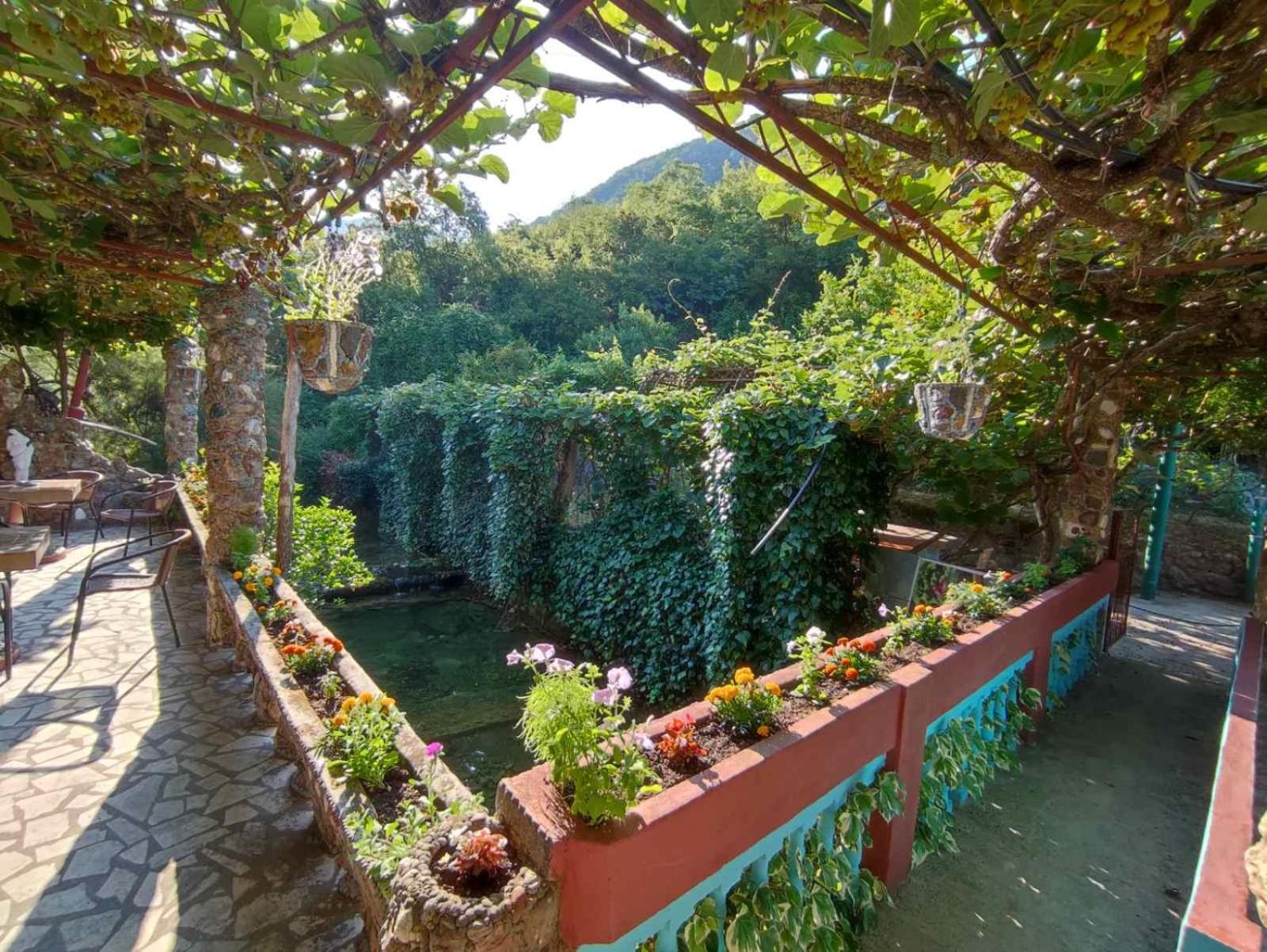 Apartments Radonjic Budva Exteriör bild